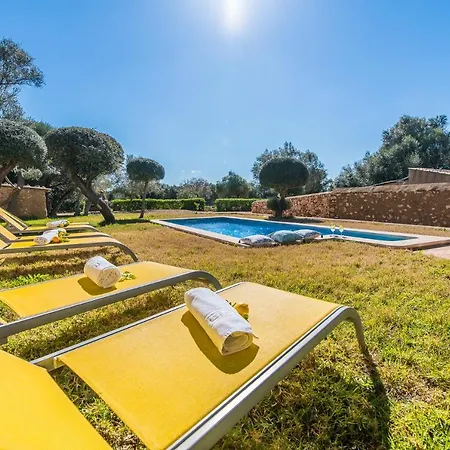 Ideal Mallorca - Gelat * Costitx (Mallorca)