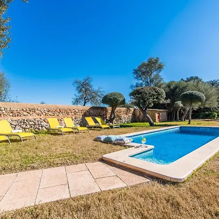 Ideal Mallorca - Gelat * Costitx (Mallorca)