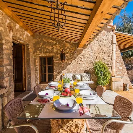 Ideal Mallorca - Gelat * Costitx (Mallorca)