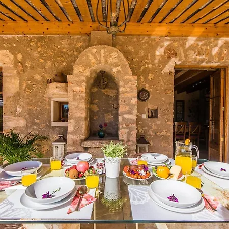 Ideal Mallorca - Gelat * Costitx (Mallorca)