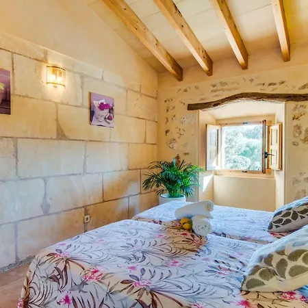 Ideal Mallorca - Gelat * Costitx (Mallorca)