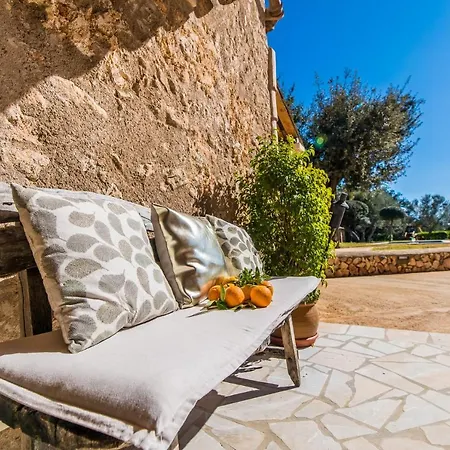 Ideal Mallorca - Gelat * Costitx (Mallorca)