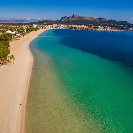 Ideal Mallorca - Gelat * Costitx (Mallorca)